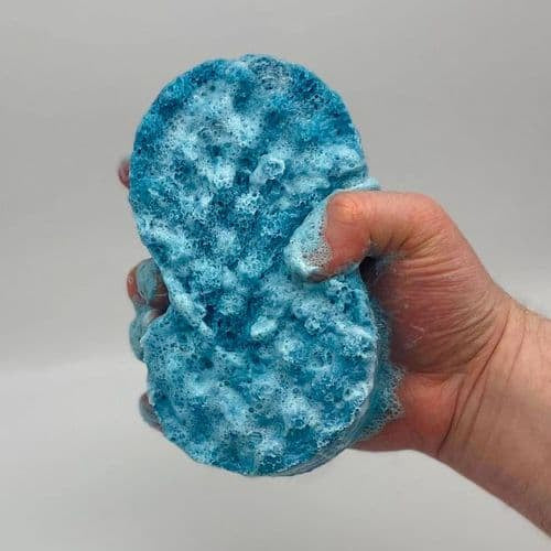 Loaded Soap Sponges